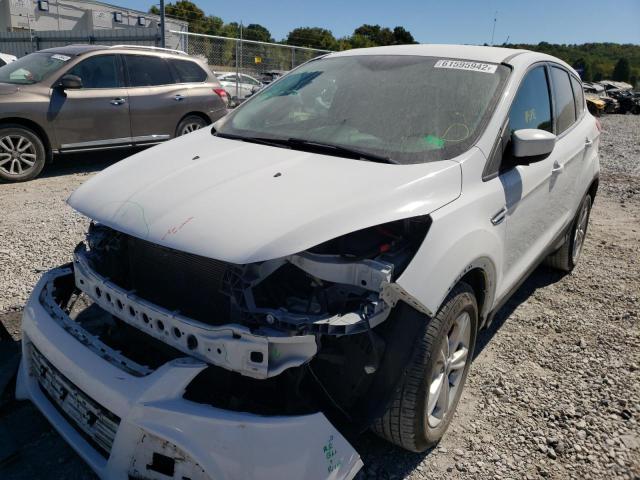 Aukcja sprzedaży 2013 Ford Escape Se, vin: 1FMCU0GX2DUC04409, numer aukcji: 61595942