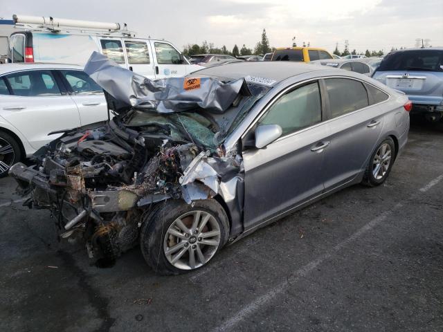 Продаж на аукціоні авто 2017 Hyundai Sonata, vin: 5NPE24AF5HH445407, номер лоту: 62300402