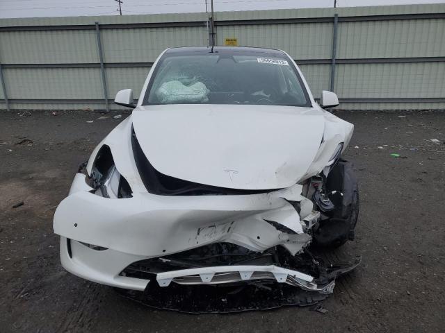 39058013 :رقم المزاد ، 5YJYGAEE3MF145582 vin ، 2021 Tesla Model Y مزاد بيع