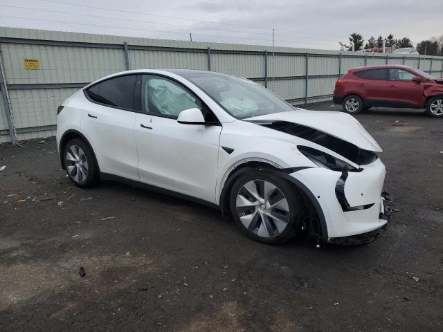 39058013 :رقم المزاد ، 5YJYGAEE3MF145582 vin ، 2021 Tesla Model Y مزاد بيع