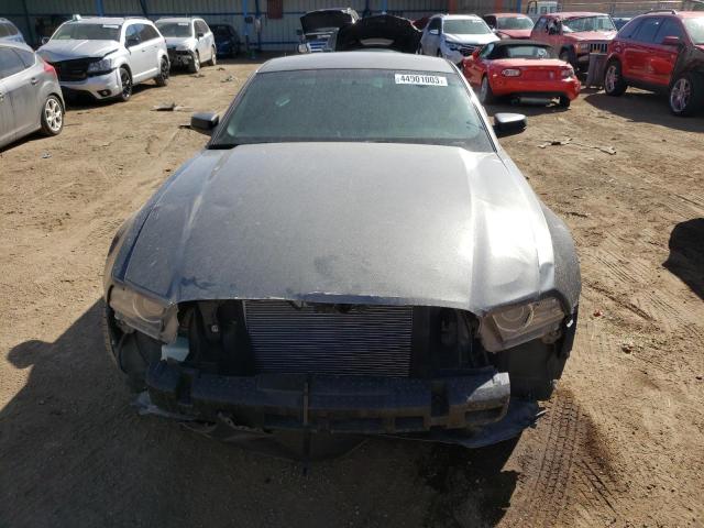 Продаж на аукціоні авто 2013 Ford Mustang, vin: 1ZVBP8AM8D5249785, номер лоту: 44901003
