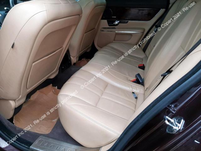 43827453 :رقم المزاد ، SAJAC1228ANV00882 vin ، 2010 Jaguar Xj Premium مزاد بيع