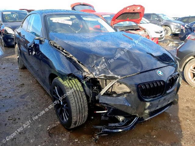 Aukcja sprzedaży 2014 Bmw 220d Se, vin: WBA1H12030V231345, numer aukcji: 45165003
