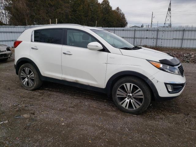 Aukcja sprzedaży 2016 Kia Sportage Ex, vin: KNDPCCAC6G7867503, numer aukcji: 45558073