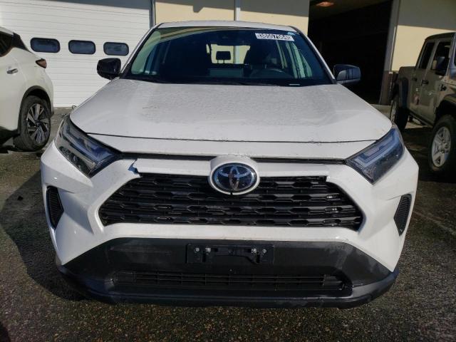 38557564 :رقم المزاد ، 2T3F1RFV8PC360042 vin ، 2023 Toyota Rav4 Le مزاد بيع