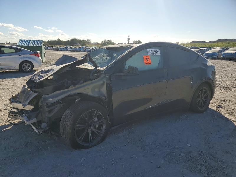 Продажа на аукционе авто 2024 Tesla Model Y, vin: 7SAYGDED1RF105309, номер лота: 72988225