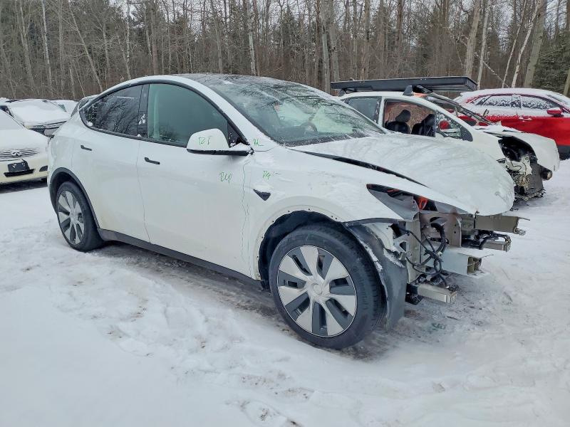 Aukcja sprzedaży 2023 Tesla Model Y, vin: 7SAYGDEE9PF775910, numer aukcji: 73298115