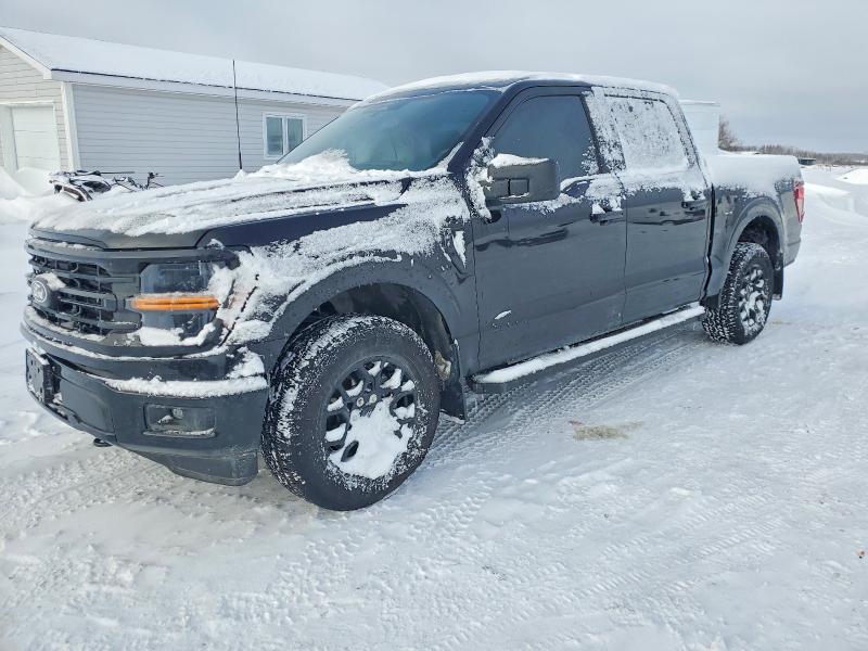 Aukcja sprzedaży 2025 Ford F150, vin: 1FTEW3LP6SKE07004, numer aukcji: 72621675