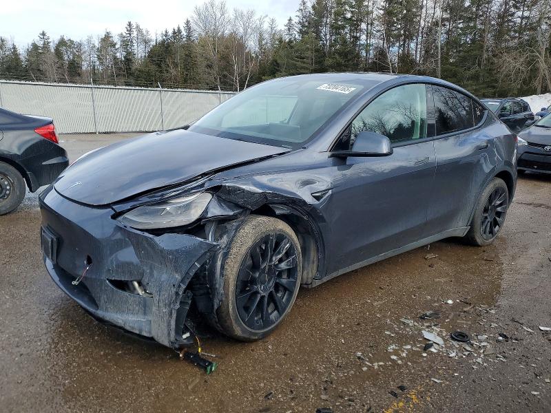 2022 Tesla Model Y მანქანა იყიდება აუქციონზე, vin: 7SAYGDEE3NF563081, აუქციონის ნომერი: 73204165