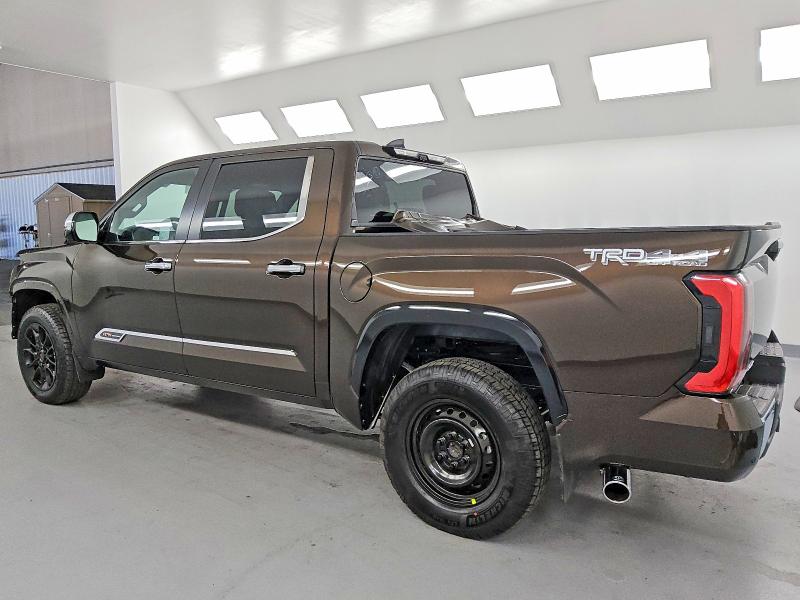 2025 Toyota Tundra მანქანა იყიდება აუქციონზე, vin: 5TFMA5DB9SX317356, აუქციონის ნომერი: 99847325
