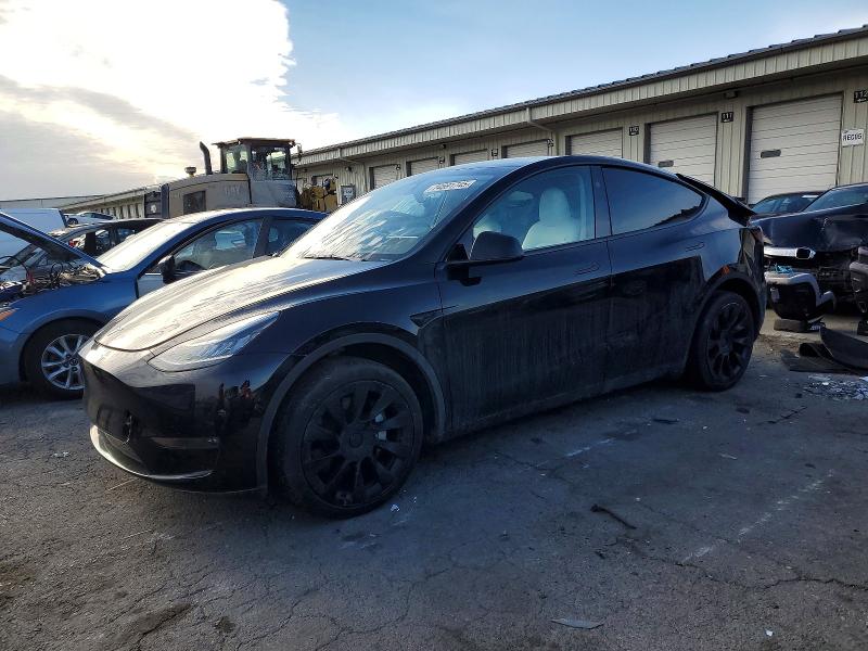 Продажа на аукционе авто 2023 Tesla Model Y, vin: 7SAYGDEE8PA159693, номер лота: 74591745