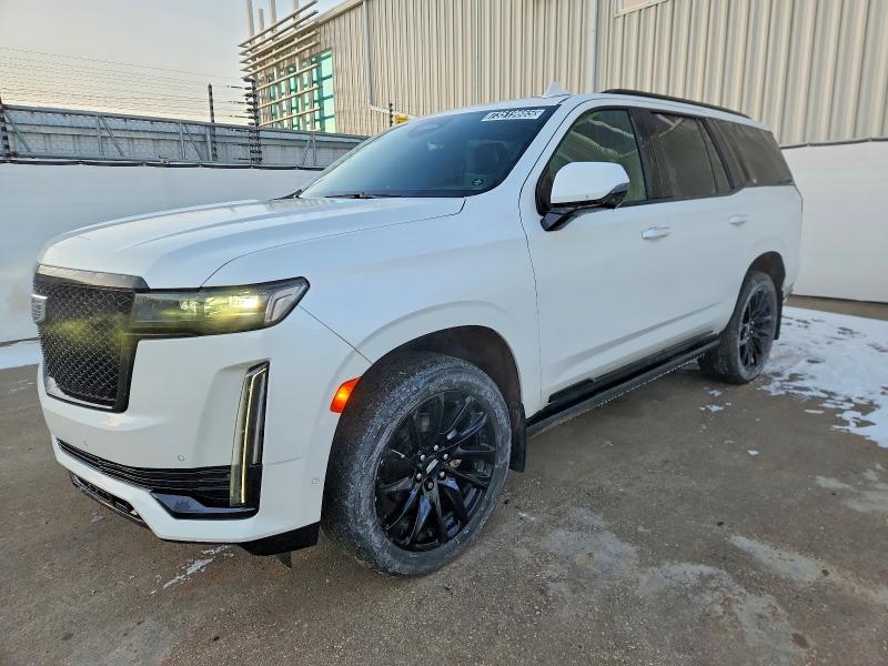 Продажа на аукционе авто 2022 Cadillac Escalade S, vin: 1GYS4GKT3NR191407, номер лота: 73519665
