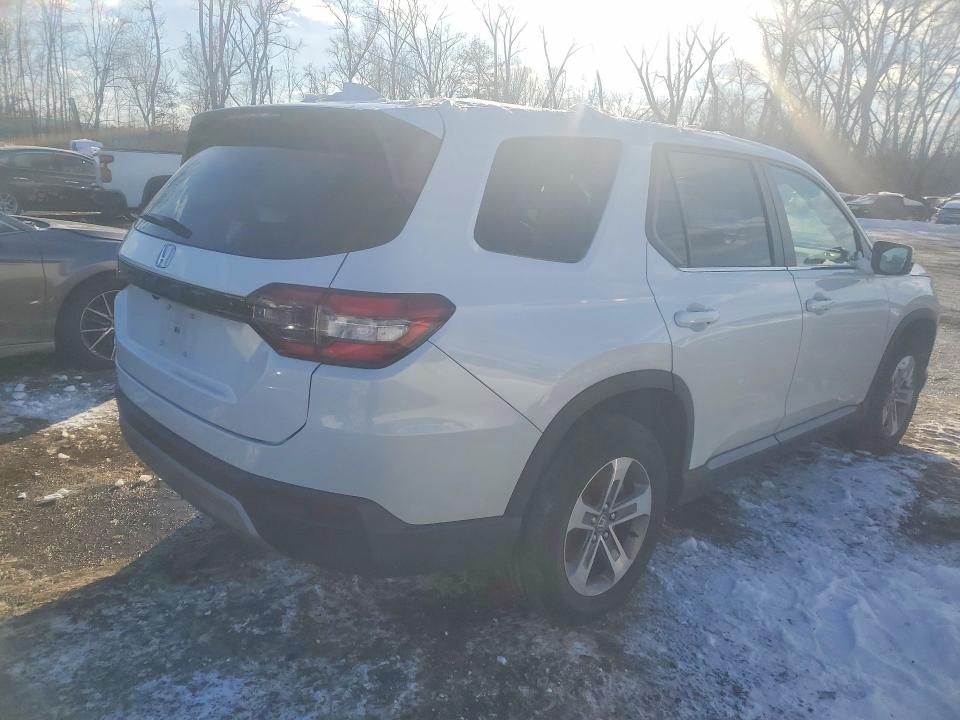 Продаж на аукціоні авто 2024 Honda Pilot, vin: 5FNYG1H42RB016811, номер лоту: 75449565