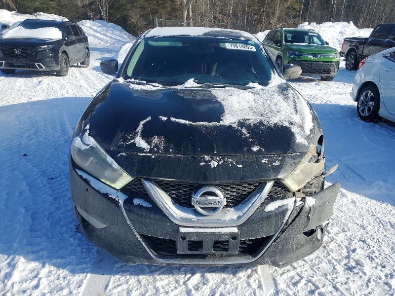 73614605 :رقم المزاد ، 1N4AA6AP6GC384445 vin ، 2016 Nissan Maxima مزاد بيع