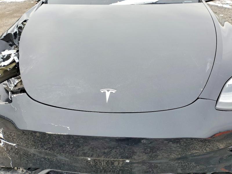 Продаж на аукціоні авто 2023 Tesla Model Y, vin: 7SAYGDEEXPA119065, номер лоту: 98602195