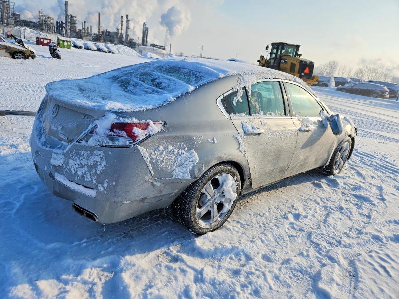 Auction sale of the 2009 Acura Tl, vin: 19UUA96549A801917, lot number: 73020345