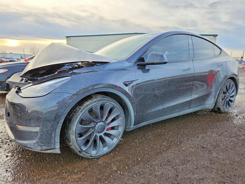 Продажа на аукционе авто 2024 Tesla Model Y, vin: 7SAYGDEF8RF041383, номер лота: 73325095