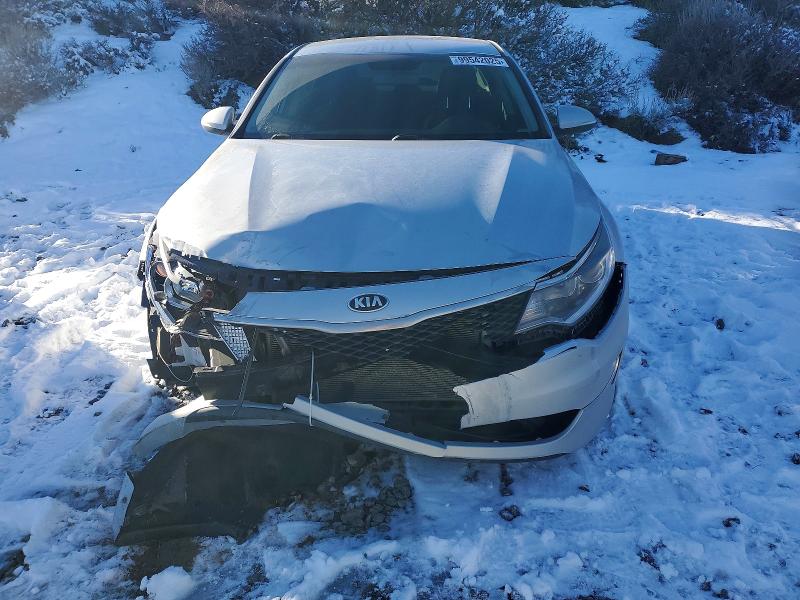 Продаж на аукціоні авто 2016 Kia Optima, vin: KNAGT4L31G5112030, номер лоту: 99542025