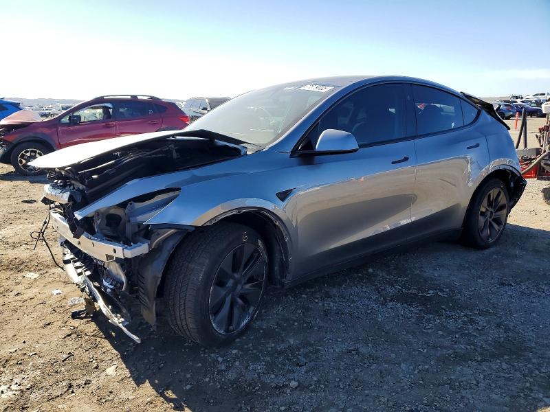 Продажа на аукционе авто 2025 Tesla Model Y, vin: 7SAYGDED8SF314150, номер лота: 97679005
