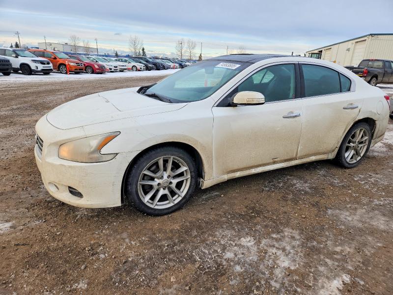 Продажа на аукционе авто 2009 Nissan Maxima 3.5 Sv 4dr, vin: 1N4AA51E09C858904, номер лота: 74993805