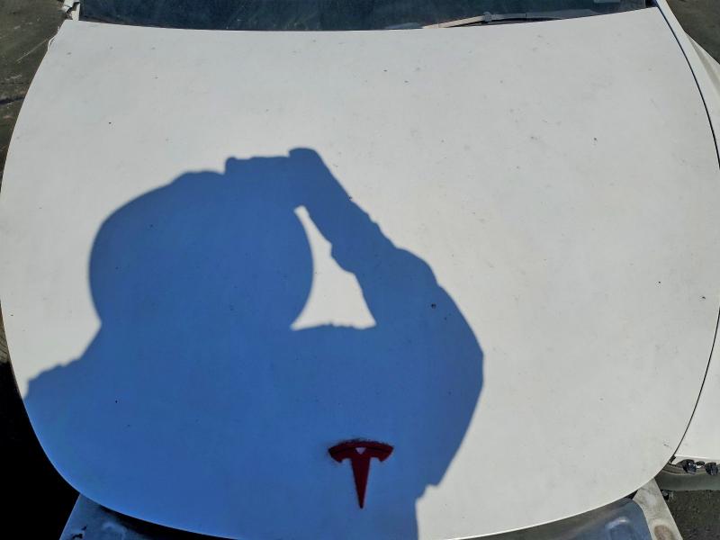 Продажа на аукционе авто 2023 Tesla Model Y, vin: 7SAYGDEE3PA149735, номер лота: 73462475