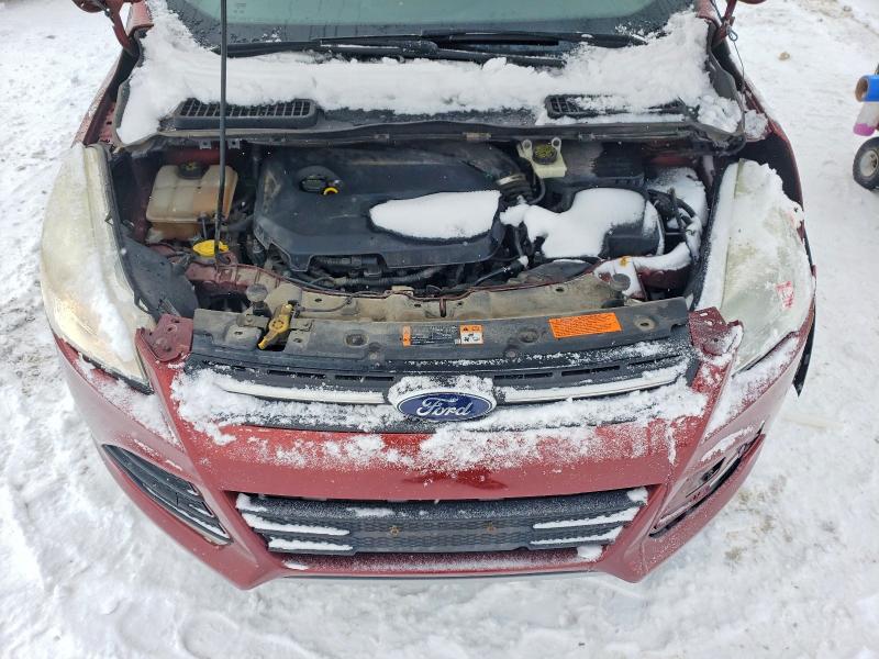 Auction sale of the 2014 Ford Escape, vin: 1FMCU9GX1EUD97108, lot number: 74948175