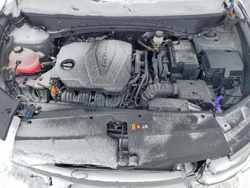 Продажа на аукционе авто 2025 Hyundai Tucson, vin: 5NMJCCDE9SH557446, номер лота: 74207335
