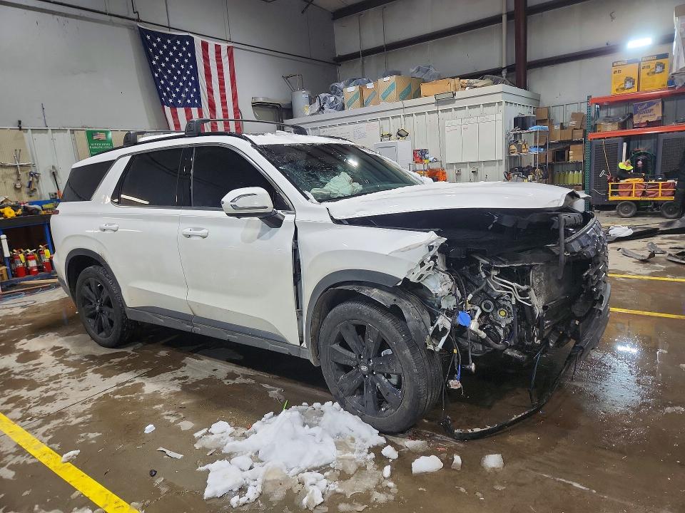 Продаж на аукціоні авто 2025 Hyundai Palisade, vin: KM8R3DGE9SU930655, номер лоту: 75493455