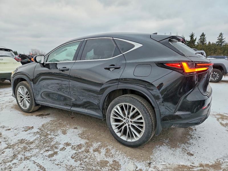 Aukcja sprzedaży 2023 Lexus Nx, vin: 2T2GGCEZ2PC018546, numer aukcji: 99167285