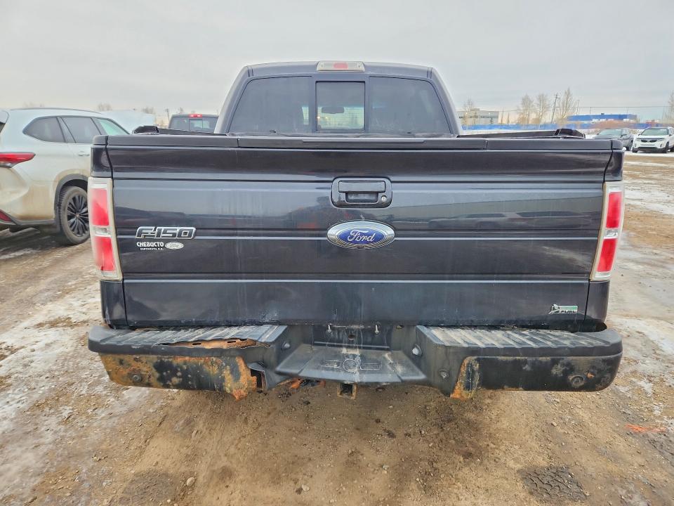 75395275 :رقم المزاد ، 1FTFW1EV9AFA38330 vin ، 2010 Ford F150 مزاد بيع