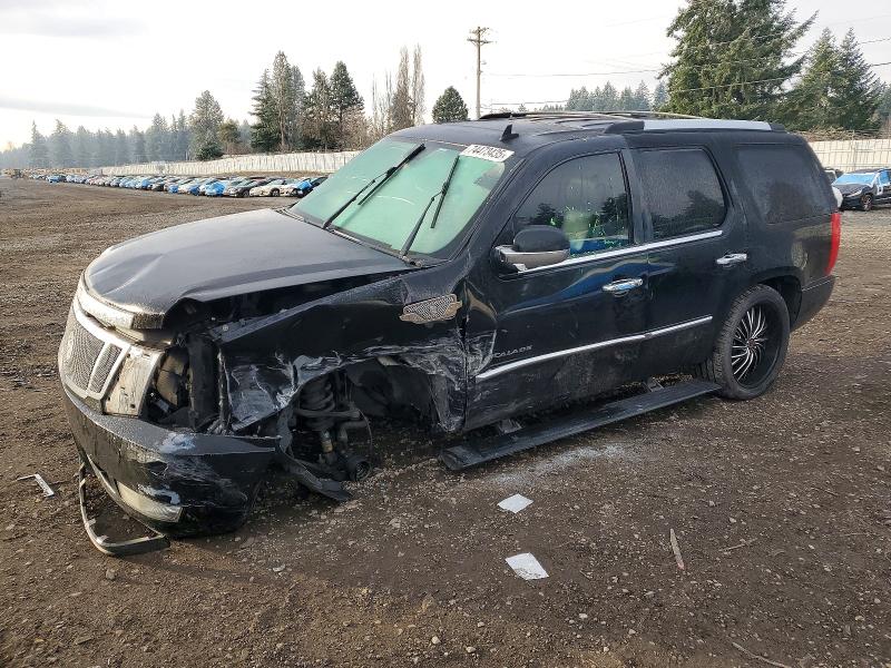 74473435 :رقم المزاد ، 1GYFK23299R216817 vin ، 2009 Cadillac Escalade مزاد بيع