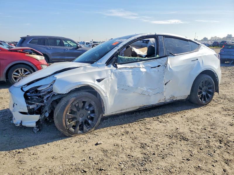 Auction sale of the 2023 Tesla Model Y, vin: 7SAYGDEE3PF755345, lot number: 74782805