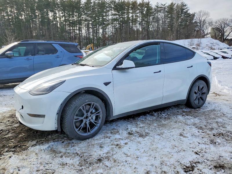 Продажа на аукционе авто 2024 Tesla Model Y, vin: 7SAYGDED6RA318642, номер лота: 99119625