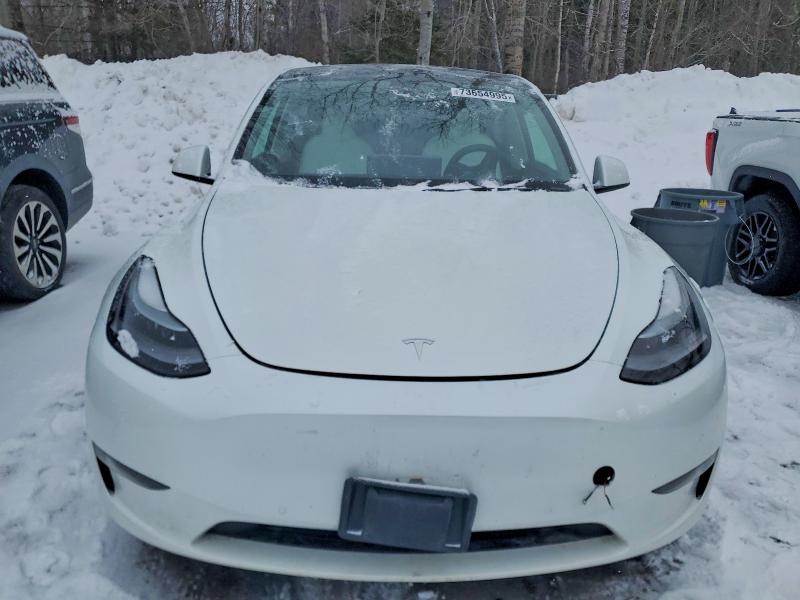 Auction sale of the 2022 Tesla Truck/van Model Y 75d Performa, vin: 7SAYGDEF4NF515601, lot number: 73654995