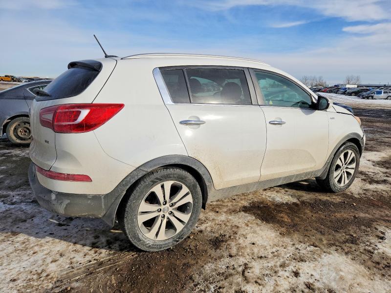 Продаж на аукціоні авто 2013 Kia Sportage, vin: KNDPCCA22D7393259, номер лоту: 75426305