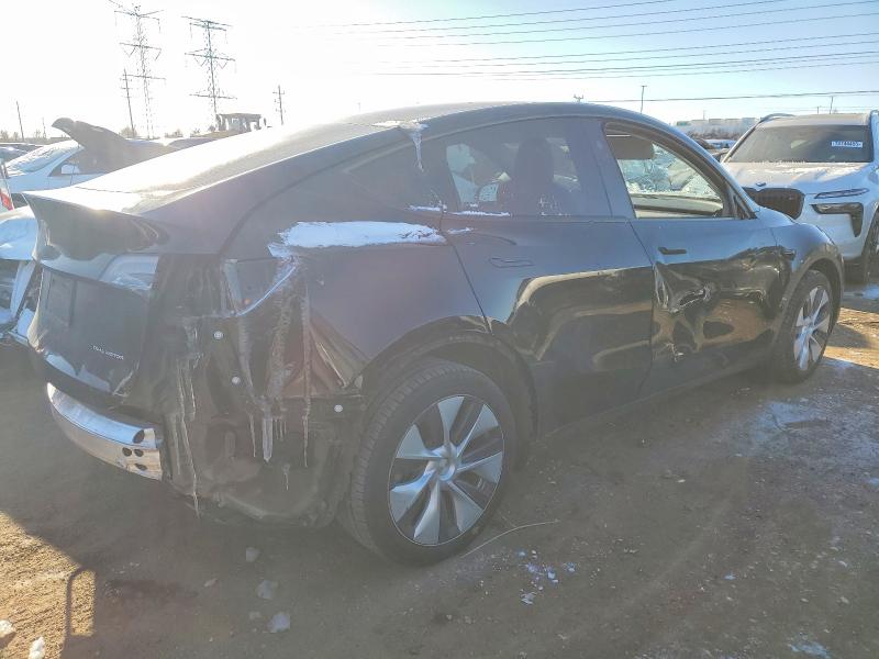 Продаж на аукціоні авто 2024 Tesla Model Y, vin: 7SAYGDEE6RA220042, номер лоту: 73669035