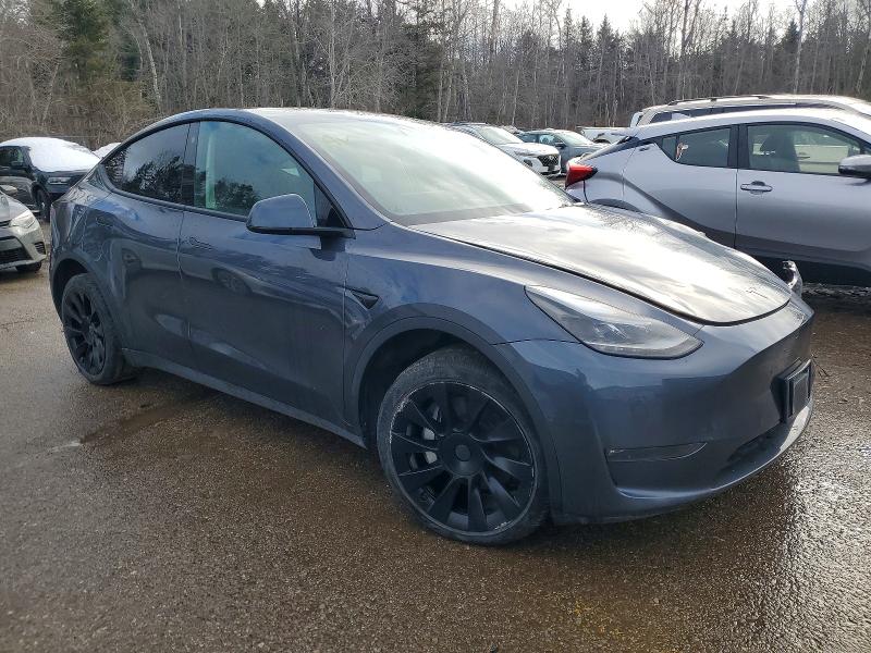2022 Tesla Model Y მანქანა იყიდება აუქციონზე, vin: 7SAYGDEE3NF563081, აუქციონის ნომერი: 73204165
