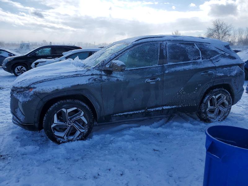 Auction sale of the 2023 Hyundai Tucson, vin: KM8JCCA11PU096336, lot number: 72150415