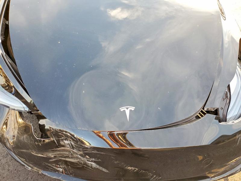 Продажа на аукционе авто 2024 Tesla Model Y, vin: 7SAYGDEE5RA229864, номер лота: 75159715