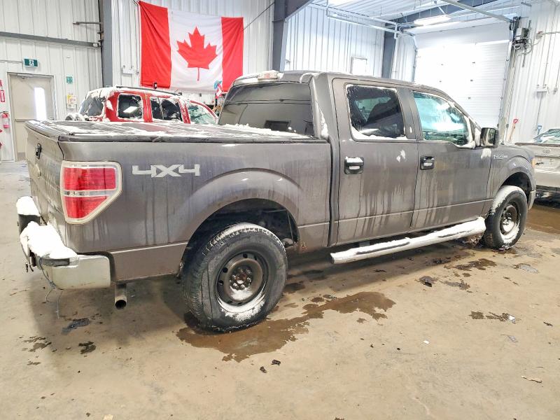 73155405 :رقم المزاد ، 1FTFW1EF4BFC32046 vin ، 2011 Ford F150 Super مزاد بيع