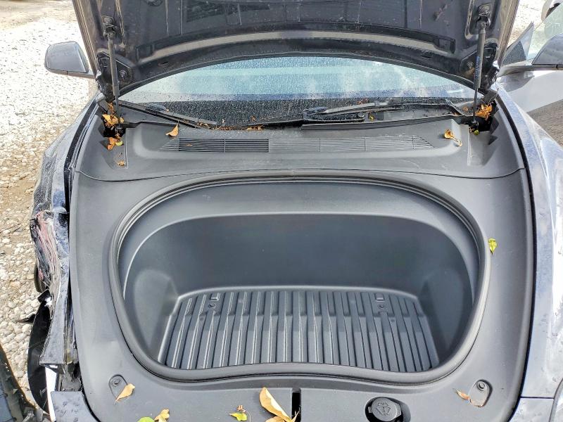 Aukcja sprzedaży 2025 Tesla Model 3, vin: 5YJ3E1EA2SF975657, numer aukcji: 97719085