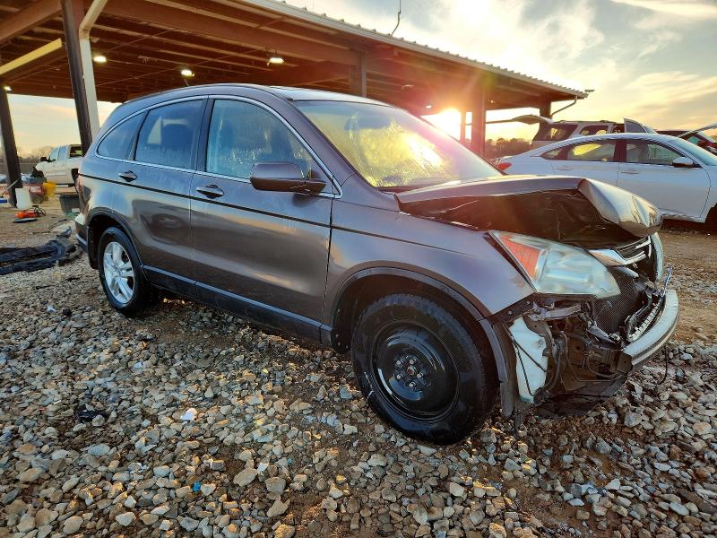 Продаж на аукціоні авто 2010 Honda Cr-v, vin: 5J6RE4H71AL062731, номер лоту: 73799745