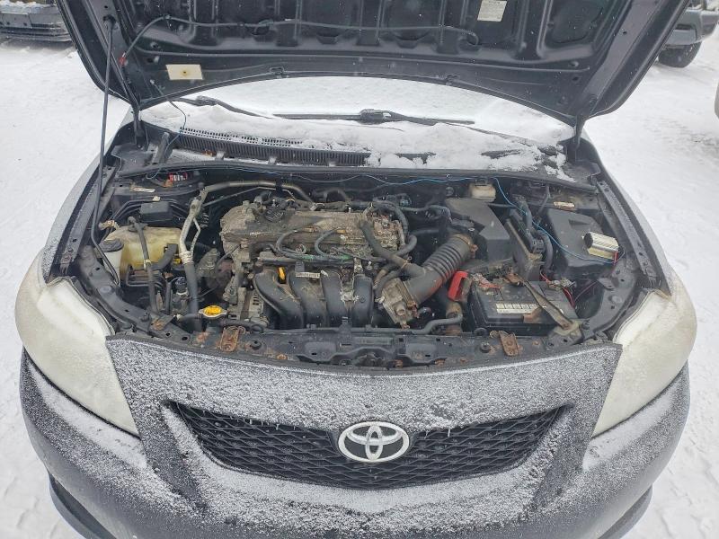 99960145 :رقم المزاد ، 2T1BU4EE1AC380580 vin ، 2010 Toyota Corolla مزاد بيع