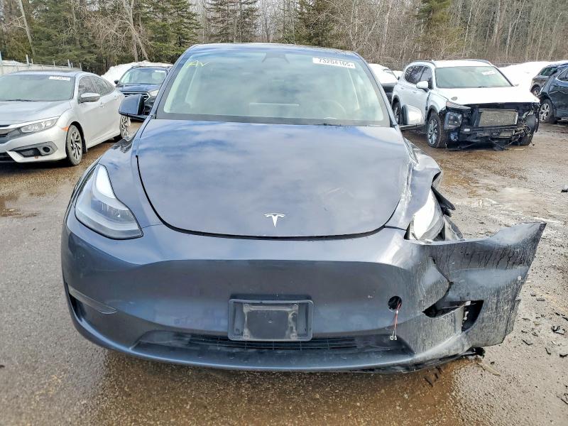 2022 Tesla Model Y მანქანა იყიდება აუქციონზე, vin: 7SAYGDEE3NF563081, აუქციონის ნომერი: 73204165