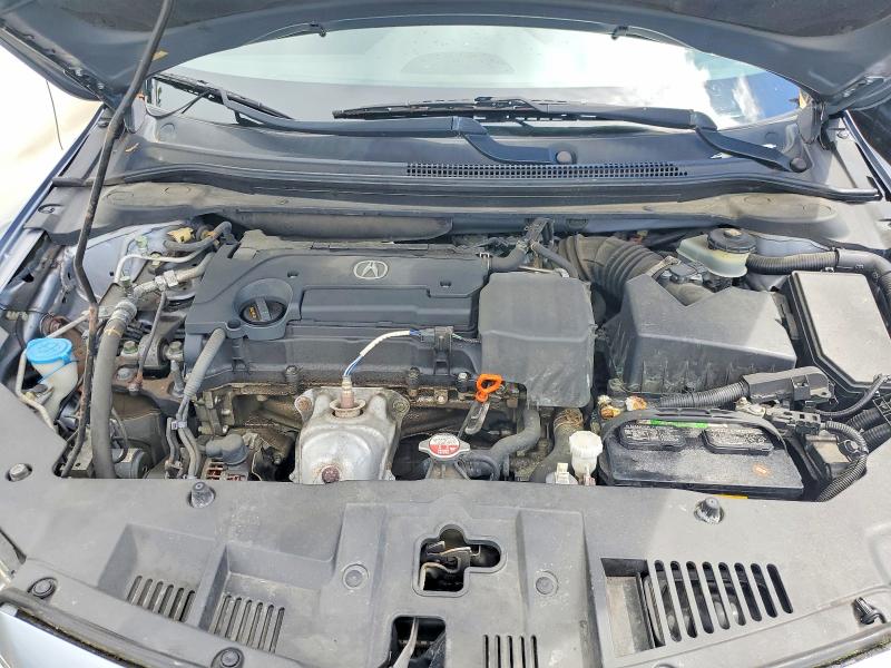 Продаж на аукціоні авто 2016 Acura Ilx, vin: 19UDE2F3XGA017748, номер лоту: 99501365