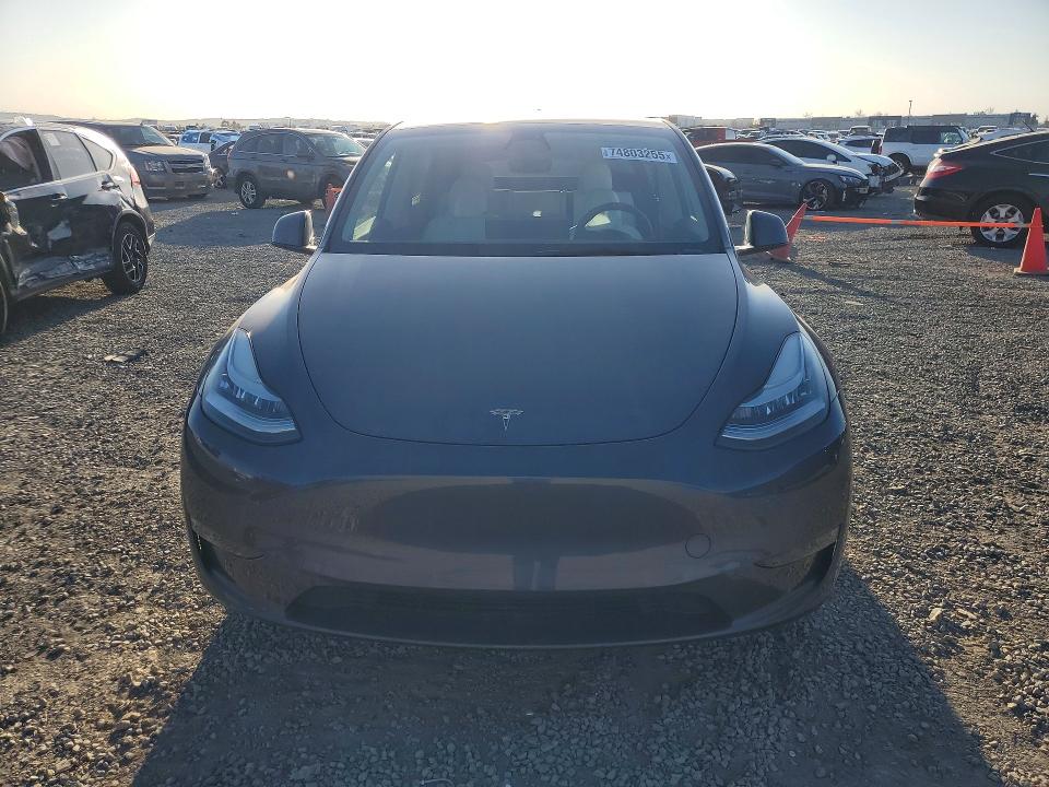 Aukcja sprzedaży 2023 Tesla Model Y, vin: 7SAYGDEE1PA076655, numer aukcji: 74803255