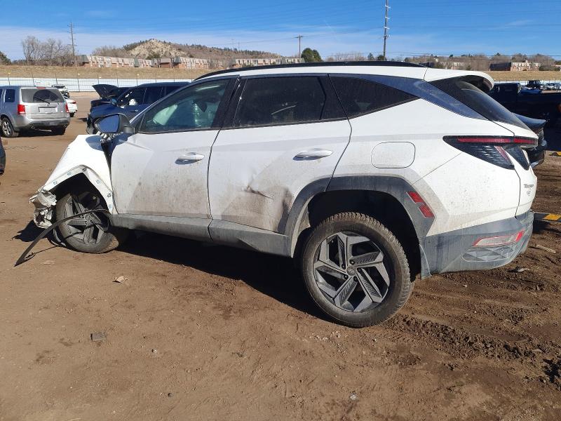 2023 Hyundai Tucson მანქანა იყიდება აუქციონზე, vin: 5NMJECAE9PH175794, აუქციონის ნომერი: 74128725