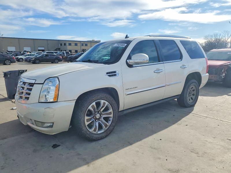 Продаж на аукціоні авто 2010 Cadillac Escalade, vin: 1GYUCCEF8AR286548, номер лоту: 72403455