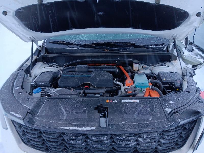 Aukcja sprzedaży 2025 Kia Sorento, vin: KNDRJDJH8S5298982, numer aukcji: 98192005