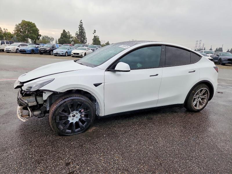Aukcja sprzedaży 2023 Tesla Model Y, vin: 7SAYGAEEXPF751856, numer aukcji: 73809475